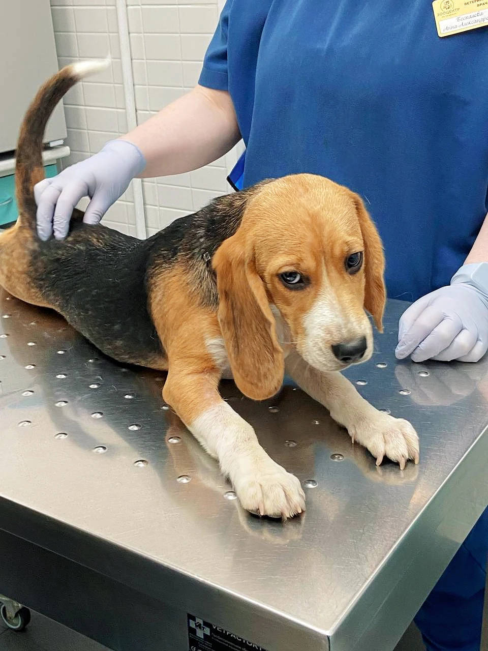 Администратор клиники с пациентом