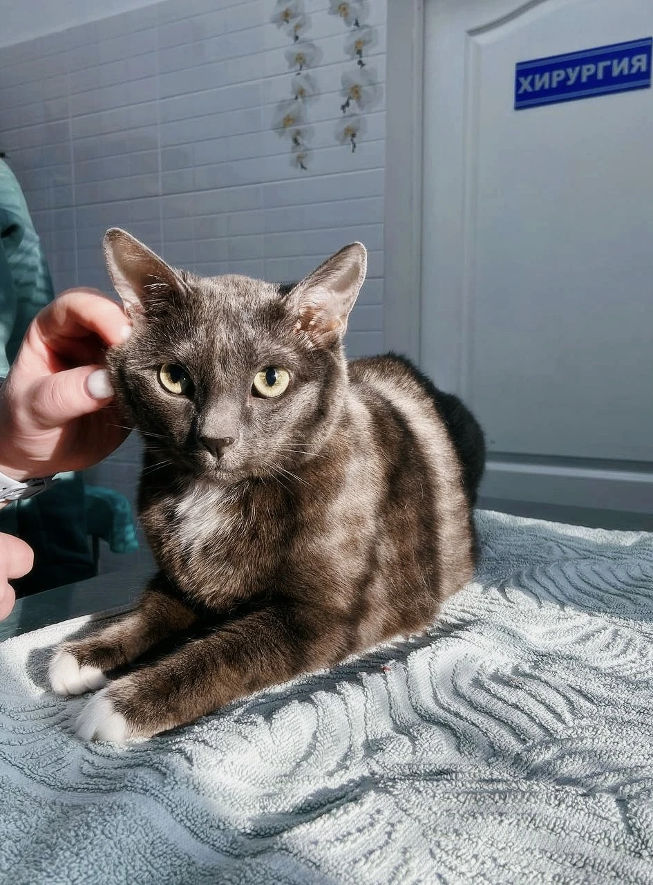 Администратор клиники с пациентом